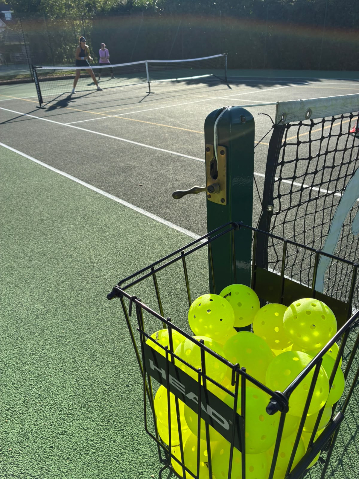 Basket of pickleballs ready for a clinic